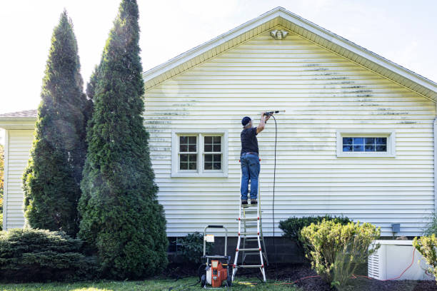 Spring Cleaning in Steeleville, IL